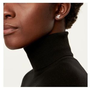 Tiffany & Co earrings Paloma Picasso